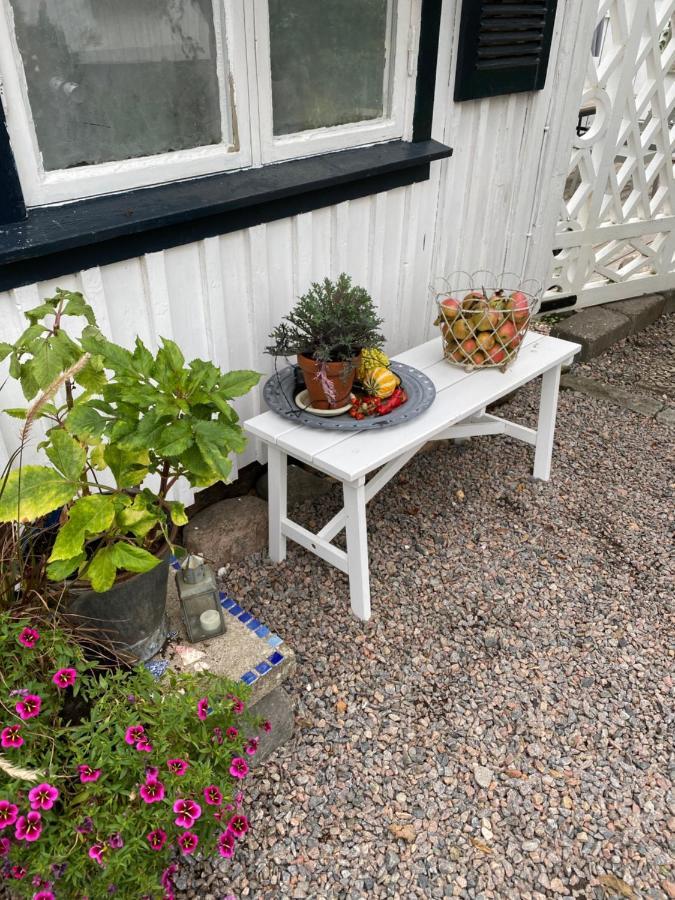 B&B Bland Ormbunkar Och Rosor Falkenberg Exterior photo
